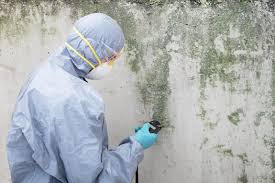 Best Asbestos and Lead Testing During Mold Inspection  in Stoneville, NC